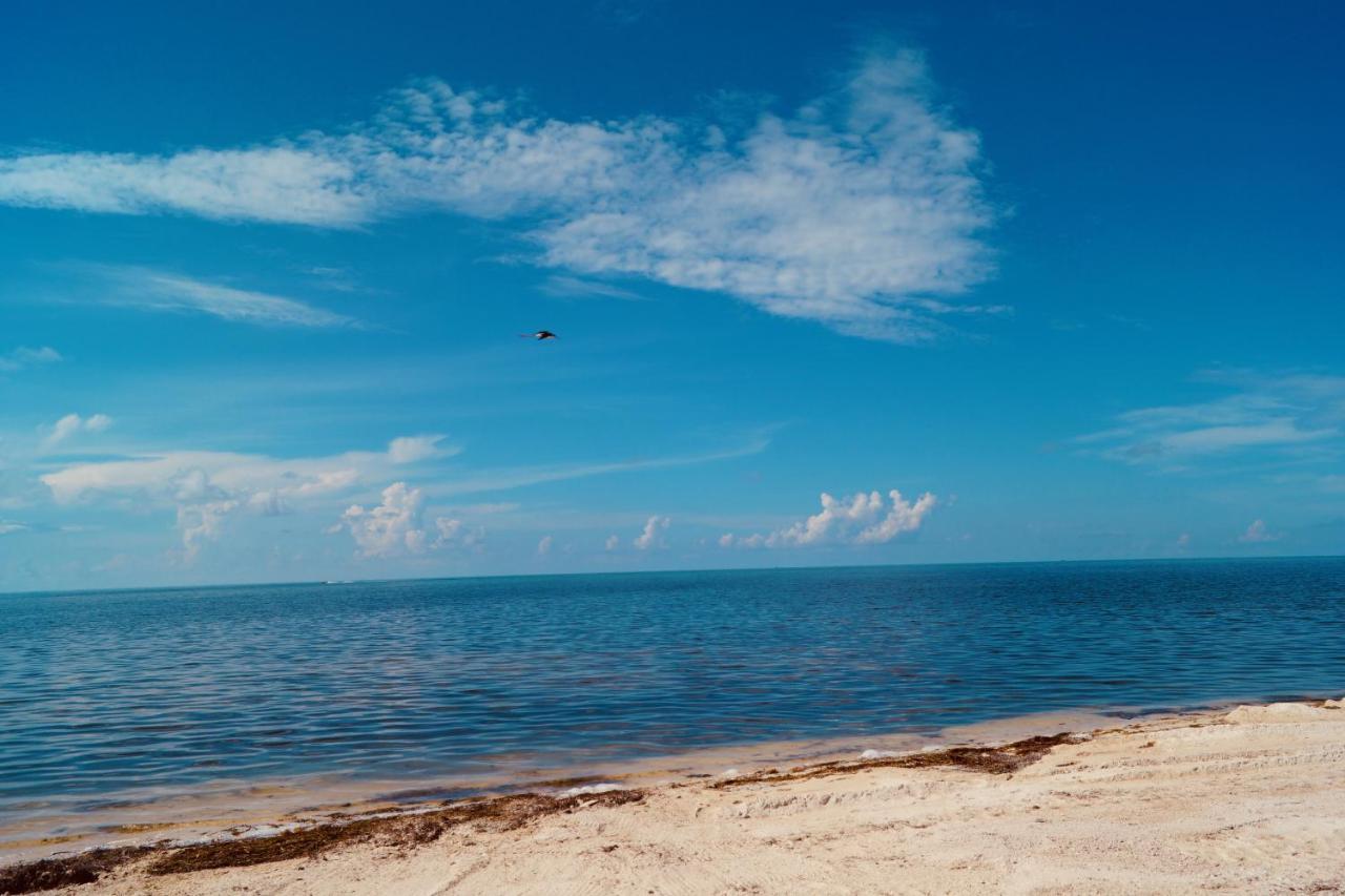 Bed and Breakfast Deer Run On The Atlantic Big Pine Key Exteriér fotografie
