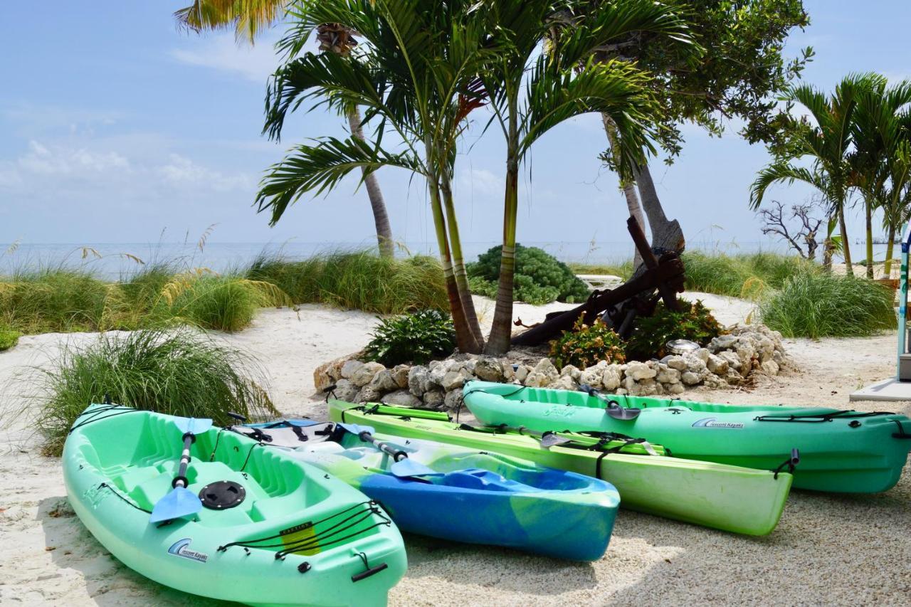 Bed and Breakfast Deer Run On The Atlantic Big Pine Key Exteriér fotografie