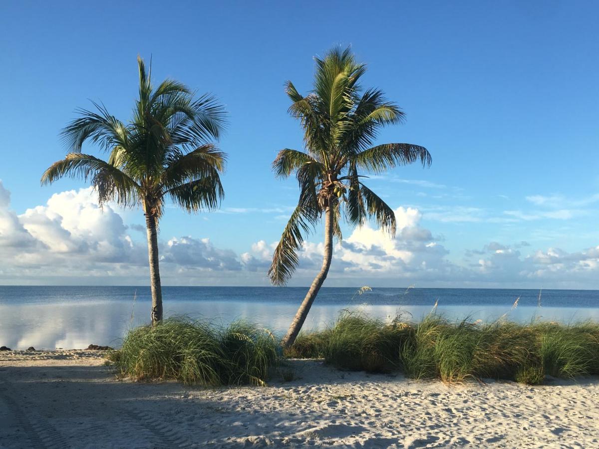 Bed and Breakfast Deer Run On The Atlantic Big Pine Key Exteriér fotografie