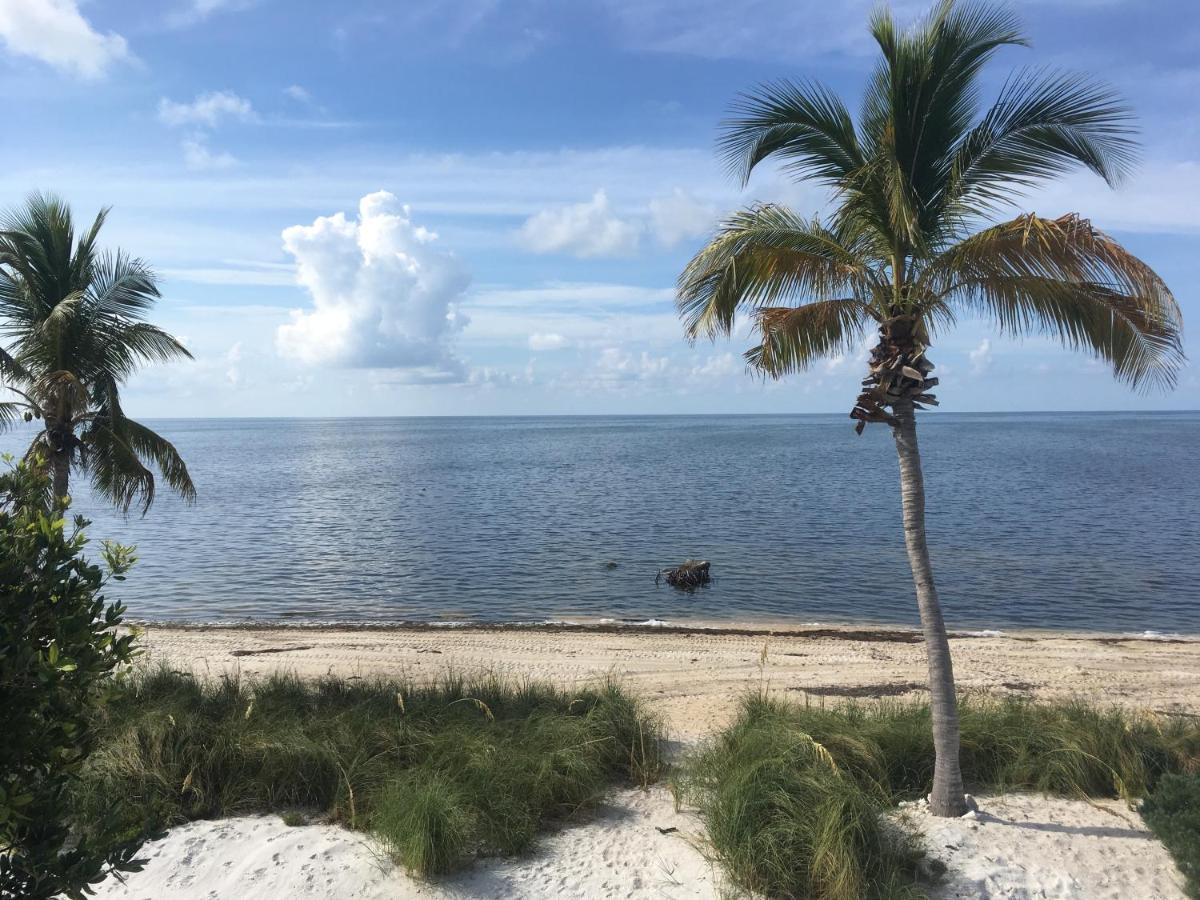 Bed and Breakfast Deer Run On The Atlantic Big Pine Key Exteriér fotografie